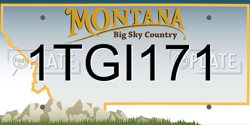 1TGI171 Montana License Plate