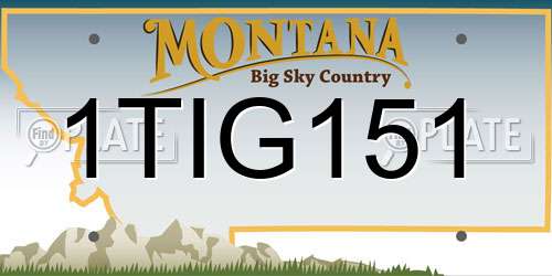 1TIG151 Montana License Plate
