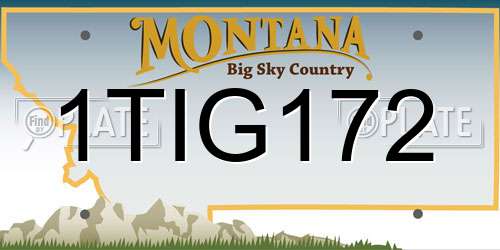 1TIG172 Montana License Plate