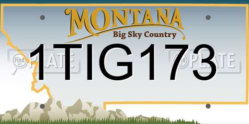 1TIG173 Montana License Plate