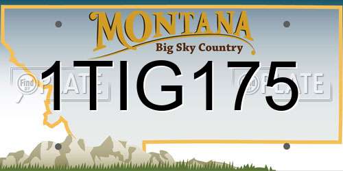 1TIG175 Montana License Plate