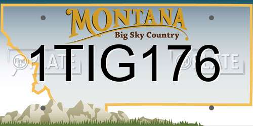 1TIG176 Montana License Plate