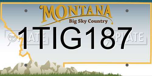 1TIG187 Montana License Plate