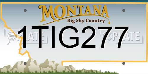 1TIG277 Montana License Plate