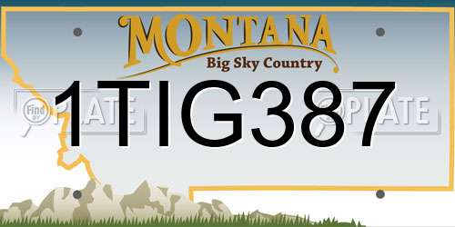 1TIG387 Montana License Plate