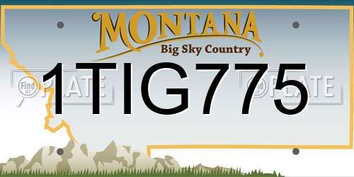 1TIG775 Montana License Plate