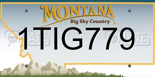 1TIG779 Montana License Plate