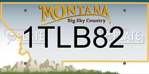 1TLB82 Montana License Plate