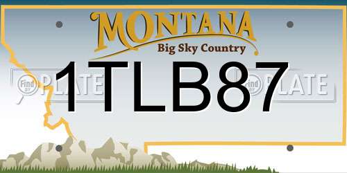 1TLB87 Montana License Plate