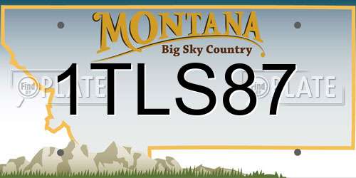 1TLS87 Montana License Plate