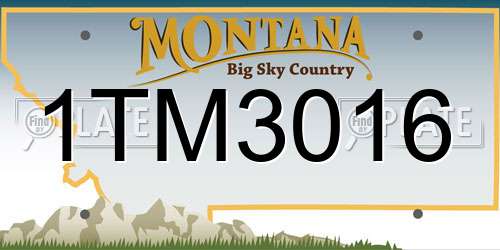1TM3016 Montana License Plate