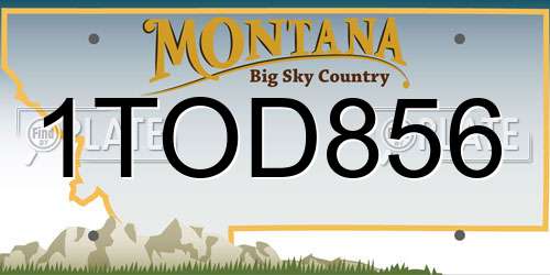 1TOD856 Montana License Plate