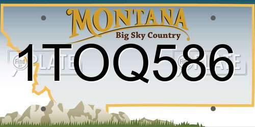 1TOQ586 Montana License Plate