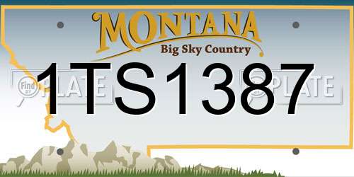 1TS1387 Montana License Plate