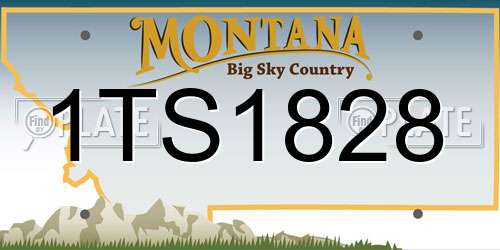 1TS1828 Montana License Plate