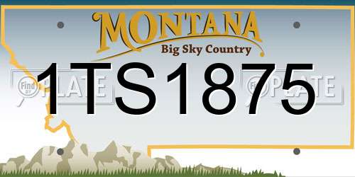 1TS1875 Montana License Plate