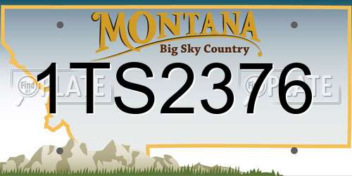1TS2376 Montana License Plate