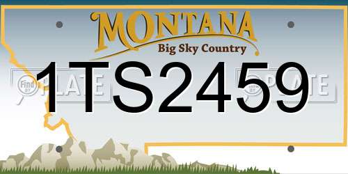 1TS2459 Montana License Plate