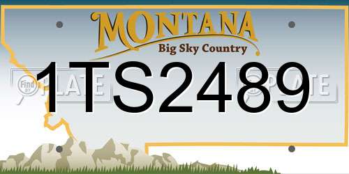 1TS2489 Montana License Plate