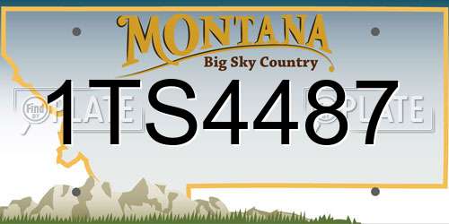 1TS4487 Montana License Plate