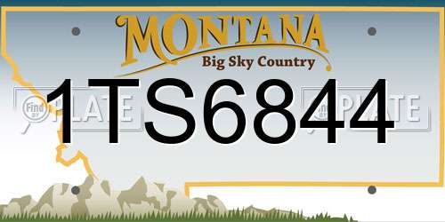 1TS6844 Montana License Plate