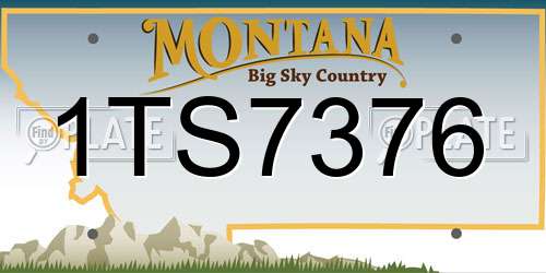 1TS7376 Montana License Plate