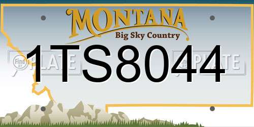 1TS8044 Montana License Plate