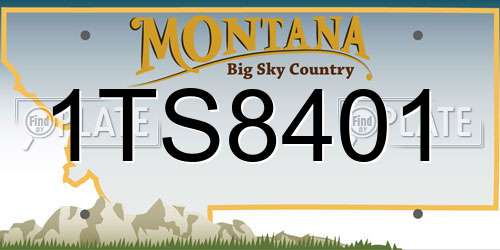 1TS8401 Montana License Plate