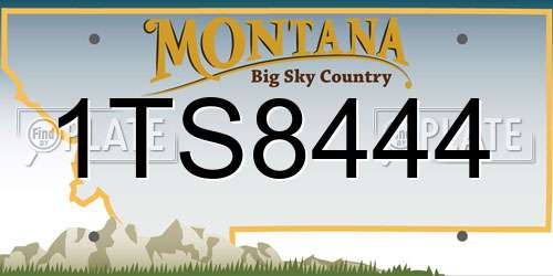 1TS8444 Montana License Plate