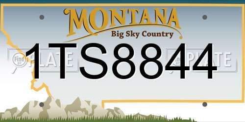 1TS8844 Montana License Plate
