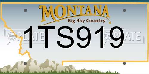 1TS919 Montana License Plate