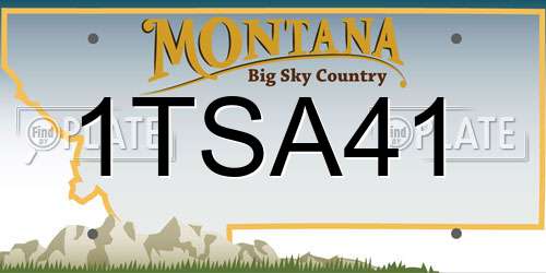 1TSA41 Montana License Plate