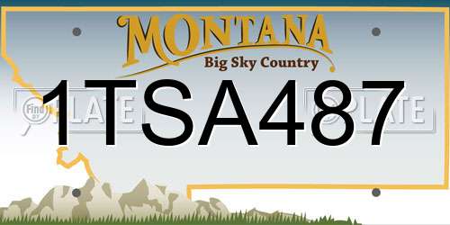 1TSA487 Montana License Plate