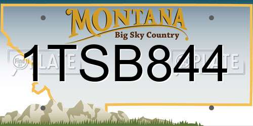 1TSB844 Montana License Plate
