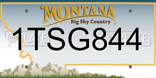 1TSG844 Montana License Plate