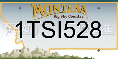 1TSI528 Montana License Plate