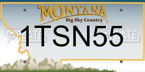 1TSN55 Montana License Plate