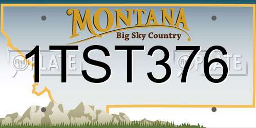1TST376 Montana License Plate