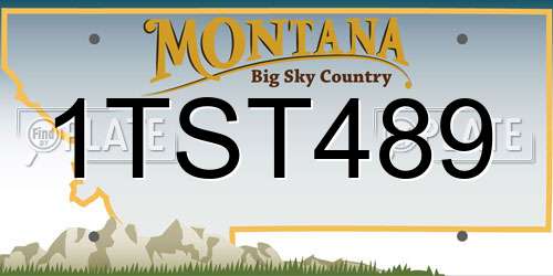 1TST489 Montana License Plate