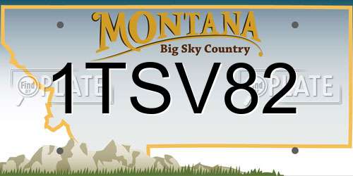 1TSV82 Montana License Plate
