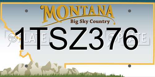 1TSZ376 Montana License Plate