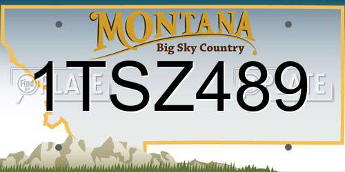 1TSZ489 Montana License Plate