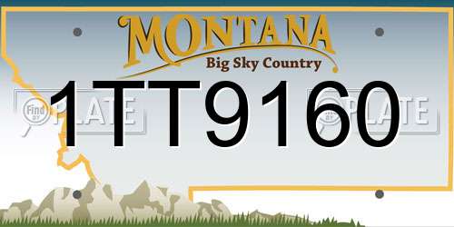 1TT9160 Montana License Plate