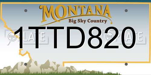 1TTD820 Montana License Plate