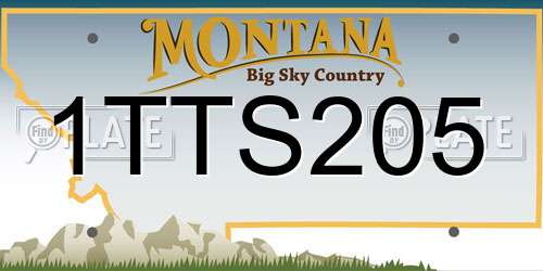 1TTS205 Montana License Plate