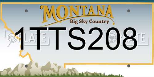 1TTS208 Montana License Plate