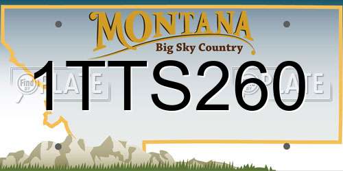 1TTS260 Montana License Plate