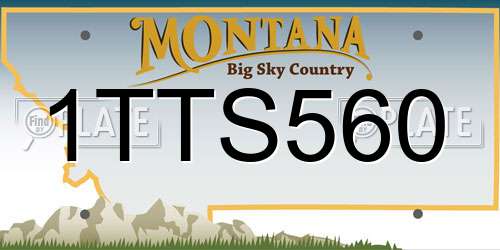 1TTS560 Montana License Plate