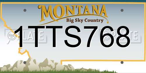 1TTS768 Montana License Plate