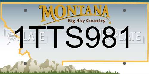 1TTS981 Montana License Plate